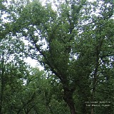 Julianna Barwick - The Magic Place
