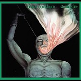 Cockburn Bruce - Stealing Fire