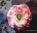 Kristin Hersh - Crooked