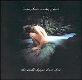Amorphous Androgynous - The Mello Hippo Disco Show