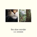 A.C. Newman - Slow Wonder