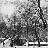 Bruce Cockburn - High Winds White Sky