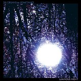 Six Organs Of Admittance - Luminous Night