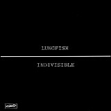 Lungfish - Indivisible
