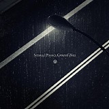 Sensual Physics - Ground Bias