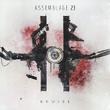 Assemblage 23 - Bruise