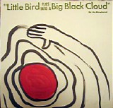 The Microphones - Little Bird Flies Into A Big Black Cloud