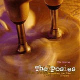 The Posies - Frosting on the Beater