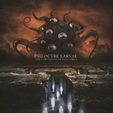 Psilocybe Larvae - The Labyrinth Of Penumbra