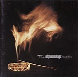 The Afghan Whigs - Black Love