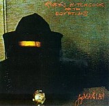 Robyn Hitchcock & The Egyptians - Fegmania