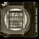 Brain Damage - Burning Before Sunset