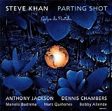 Steve Khan - Parting Shot