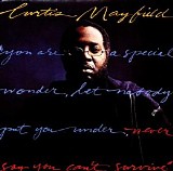 Curtis Mayfield - Never Say You Can't Survive