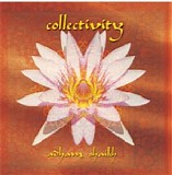 Adham Shaikh - Collectivity