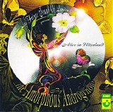 Amorphous Androgynous - Alice In Ultraland