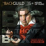 Various artists - Big Beethoven Box