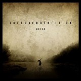 The Boxer Rebellion - Evacuate - Single of the Week