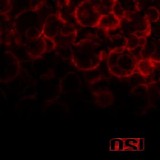 Osi - Blood