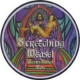 Screeching Weasel - Jesus Hates You (7 Inch)