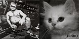 Fat Camp & Pinko - Fat Camp/Pinko