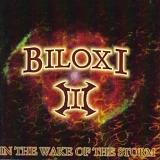 BILOXI - III: In The Wake Of The Storm