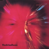 Pale Saints - Flesh Balloon