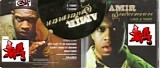 Amir Sulaiman - Like A Thief In The Night
