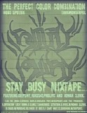 The Perfect Color Combination - Stay Busy Mixtape Vol. 1