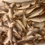 Sir Froderick - Fishheads