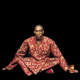 raphael saadiq - instant vintage