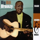 Big Bill Broonzy - Black, Brown And White