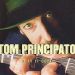 Tom Principato - Play It Cool