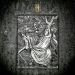 Paradise Lost - Faith Divides Us Death Unites Us