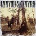 Lynyrd Skynyrd - The Last Rebel