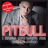 Pitbull - Calle Ocho