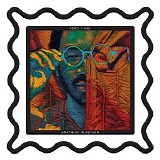 Toro Y Moi - Anything In Return