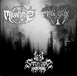 Lost in the Shadows - Maledictvs / Moloch / Lost in the Shadows