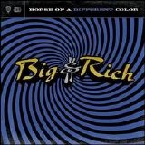 Big & Rich - Horse of a Different Color