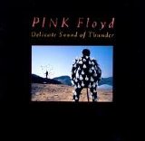 Pink Floyd - Delicate Sound of Thunder Disc 1