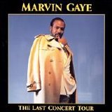 Marvin Gaye - The Last Concert Tour