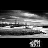 Tunguska Electronic Music Society - Ellipsis: Tundra.Ambient.Dreams.