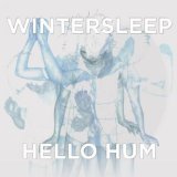 Wintersleep - Hello Hum