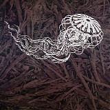 The Picturesque Episodes - Singularity
