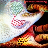 String Driven Thing - The Machine That Cried