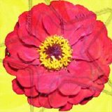 Various artists - Indie/Rock Playlist: May (2012)