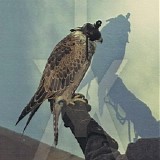 Iceage - You're Nothing