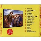 The Smashing Pumpkins - Spaceboy Unplugged
