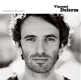 Vincent Delerm - Les PiqÃ»res D'araignÃ©e
