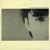 Felt - Crumbling The Antiseptic Beauty
